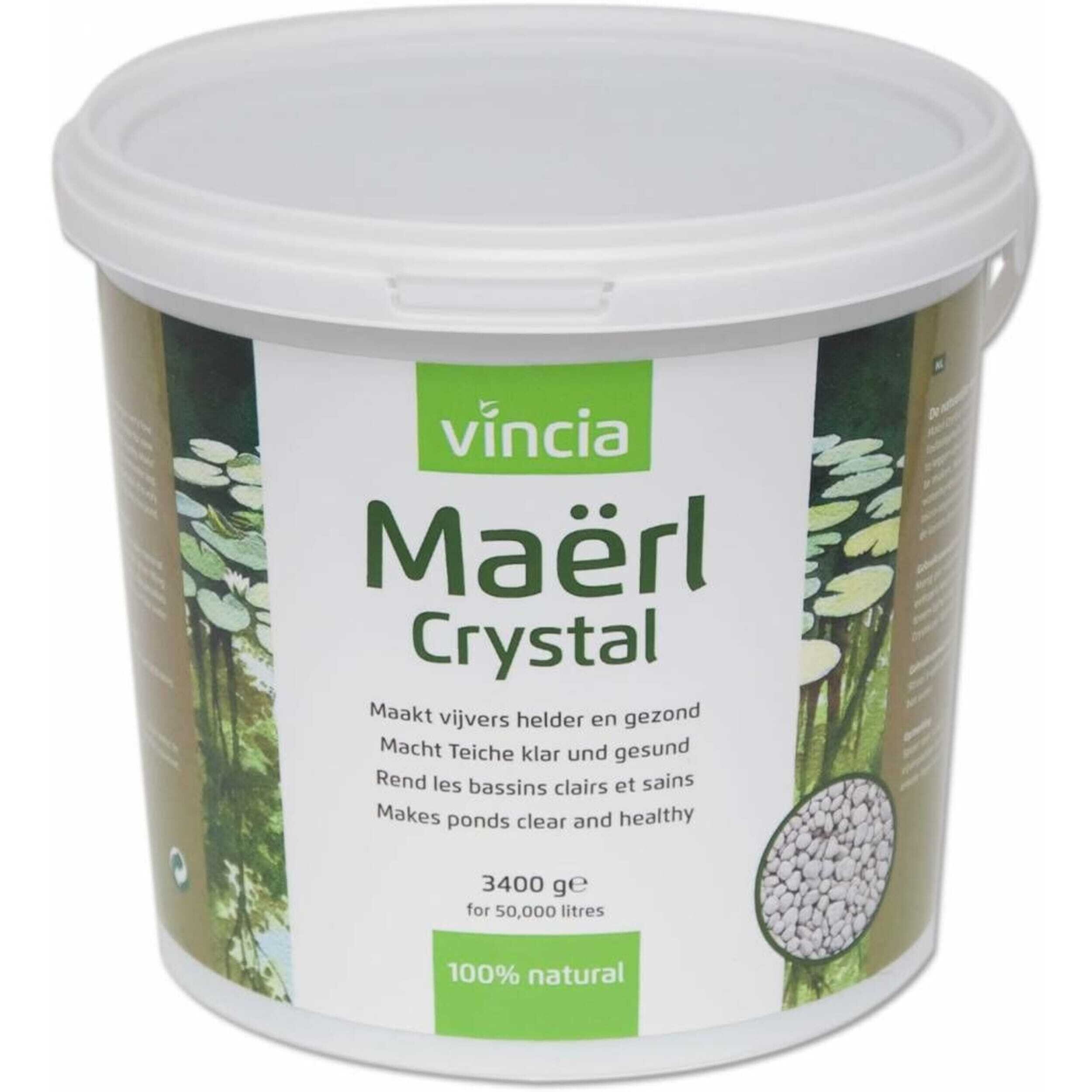 Herbal, Herbs, Plant