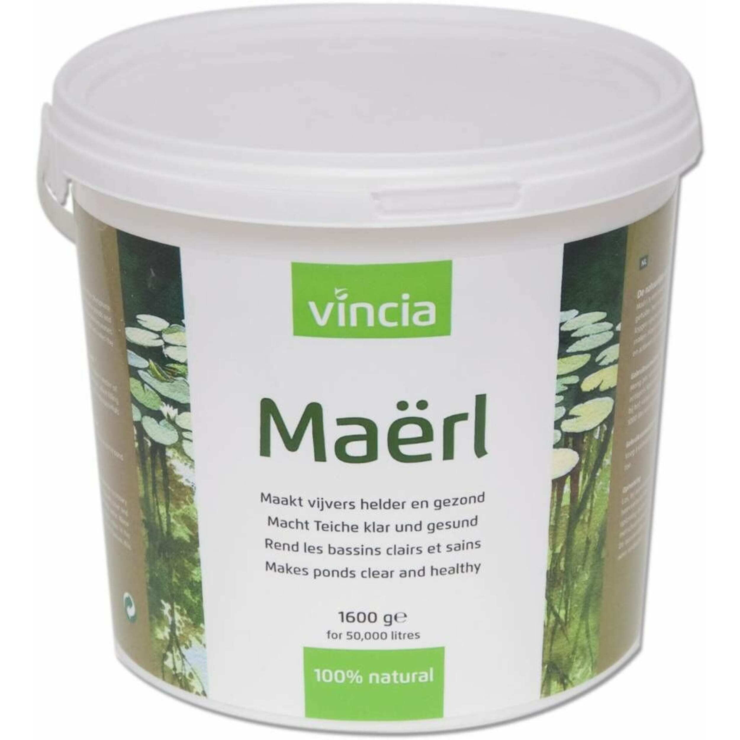 Herbal, Herbs, Plant