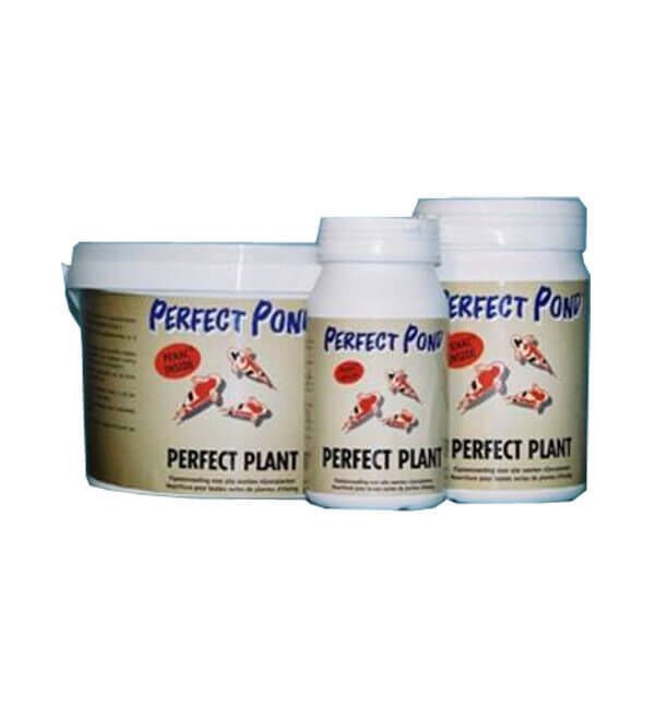 Perfect Plant 2500 gr