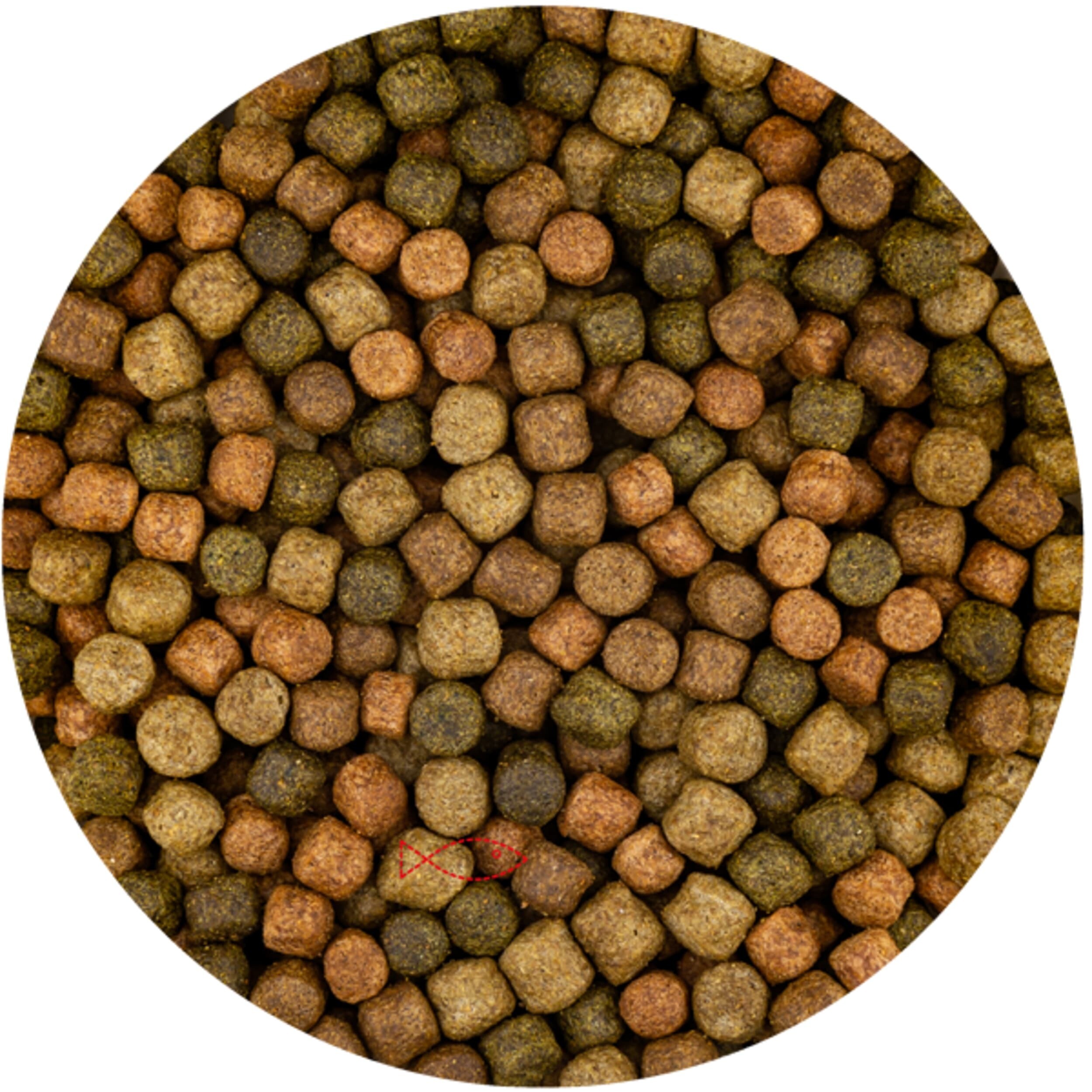 Top mix 6mm - 6 kg - Koifur
