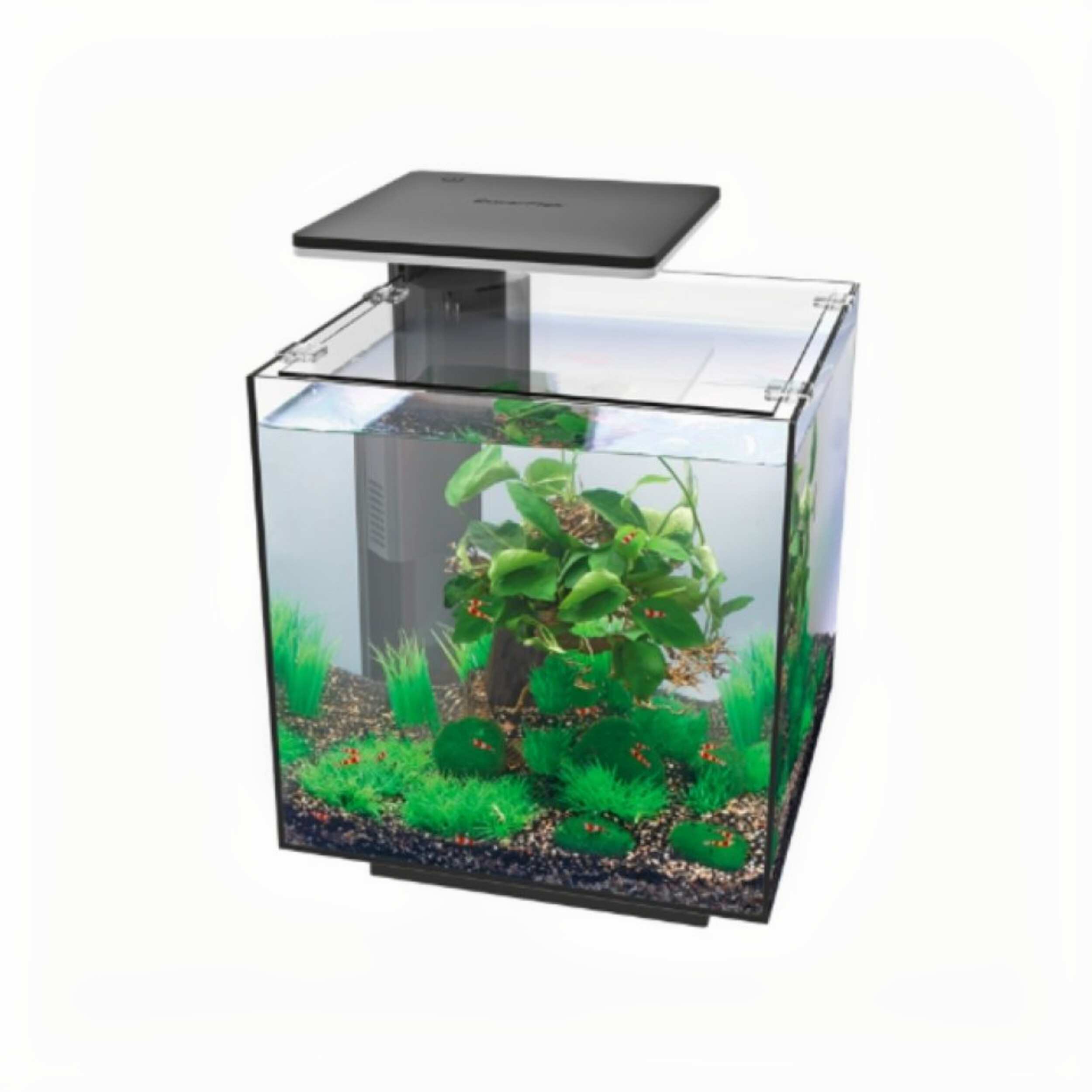 Qubiq 30 Pro Black
