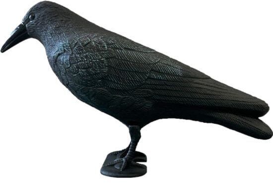 Deco Bird Crow