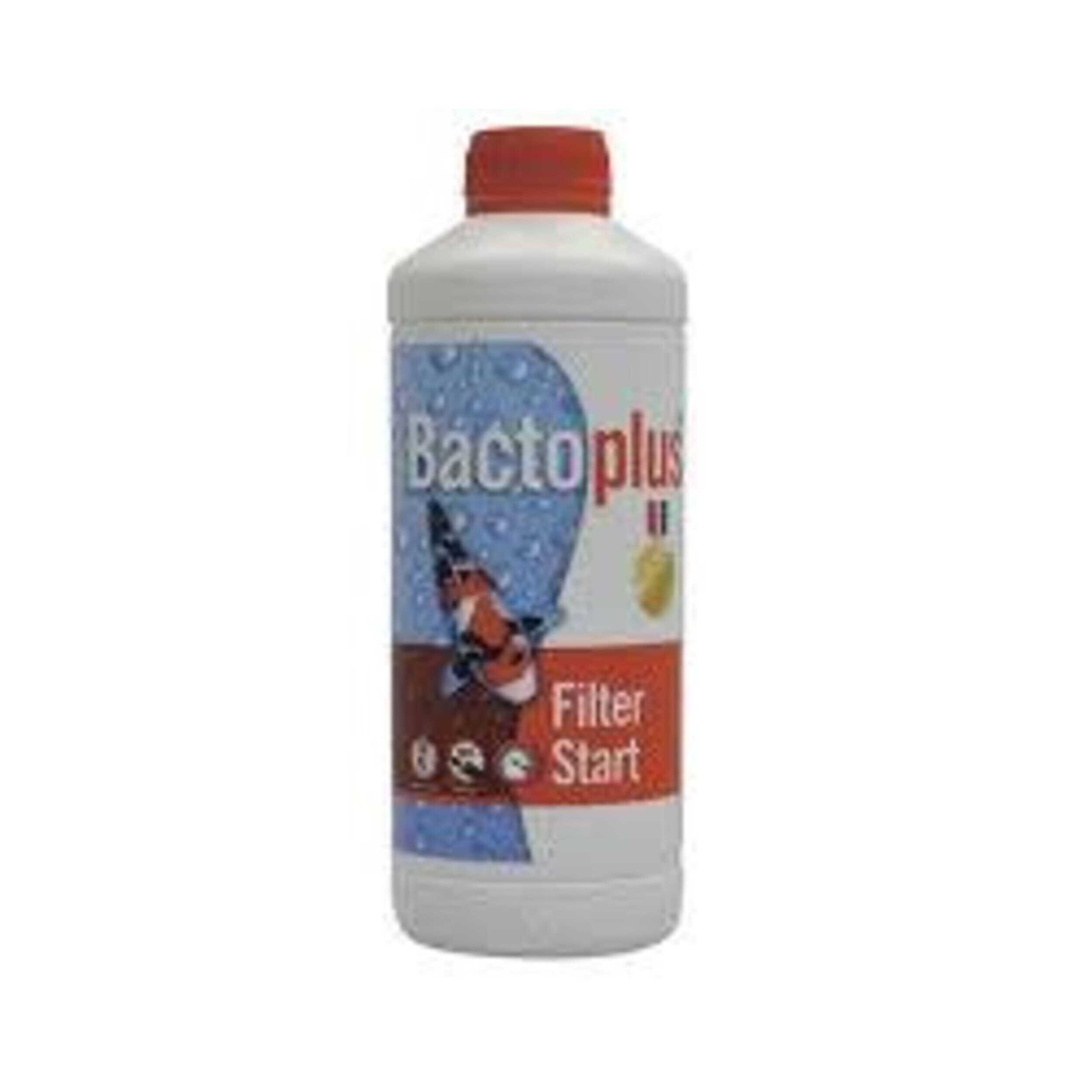 Bottle