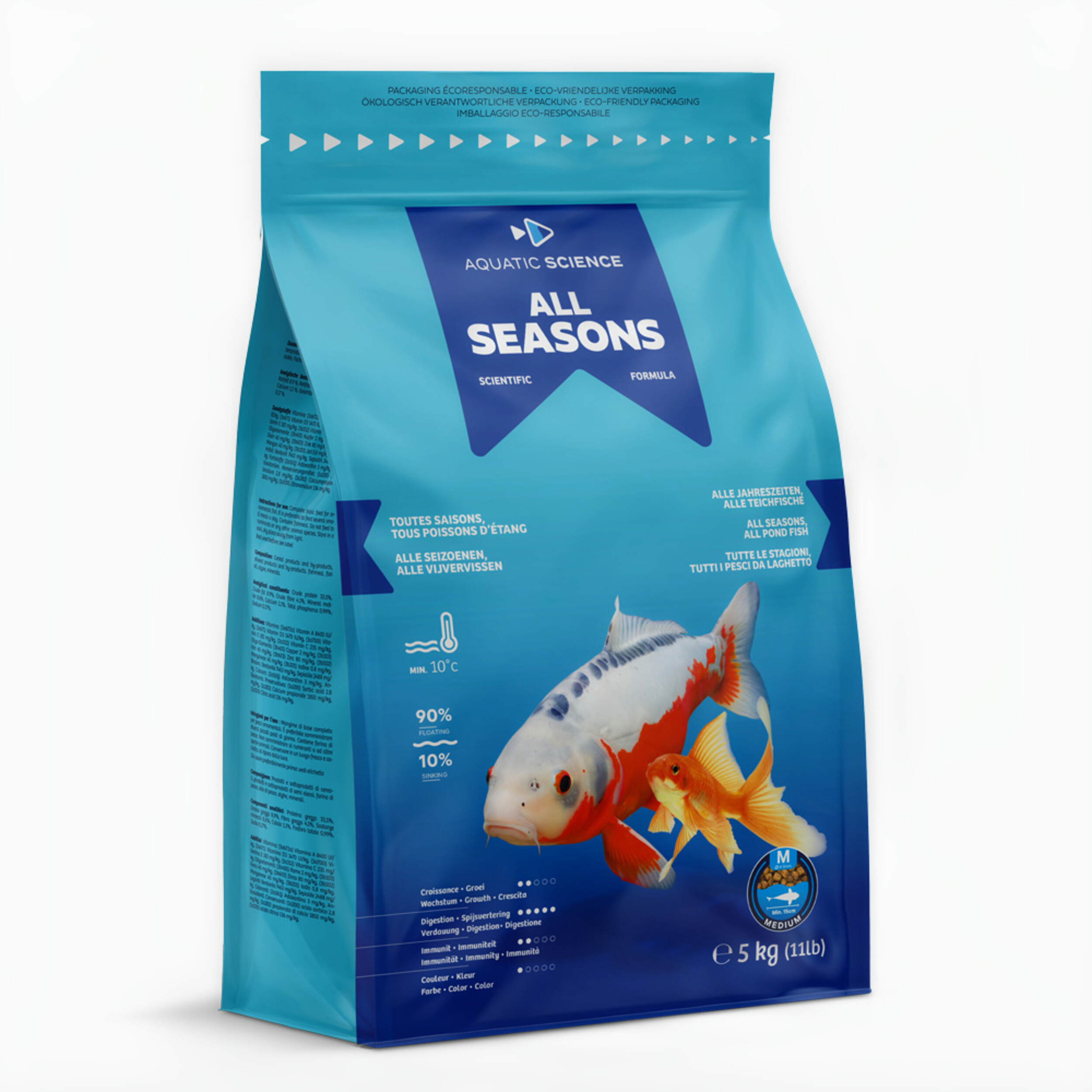 Animal, Fish, Sea Life
