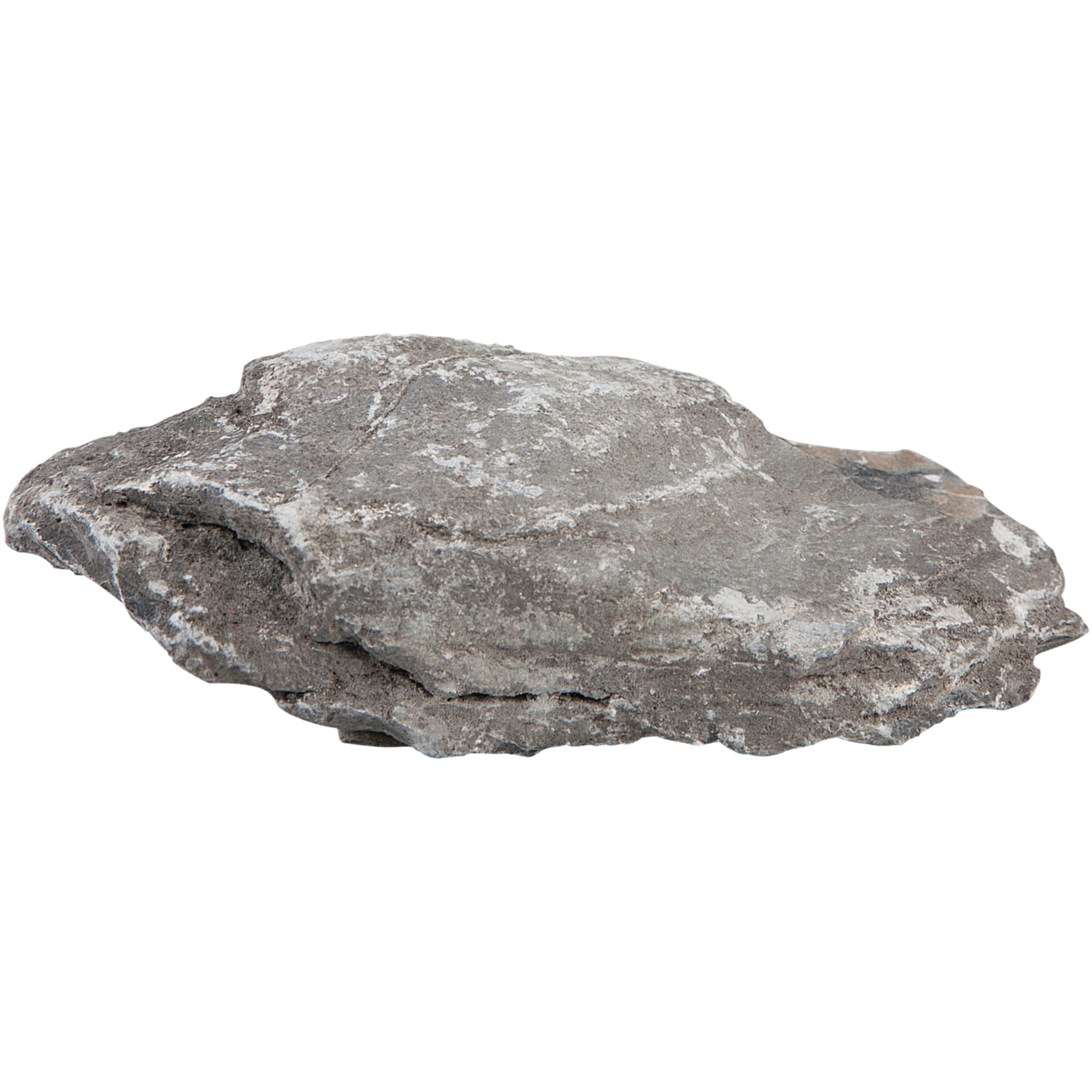 Rock, Leisteen
