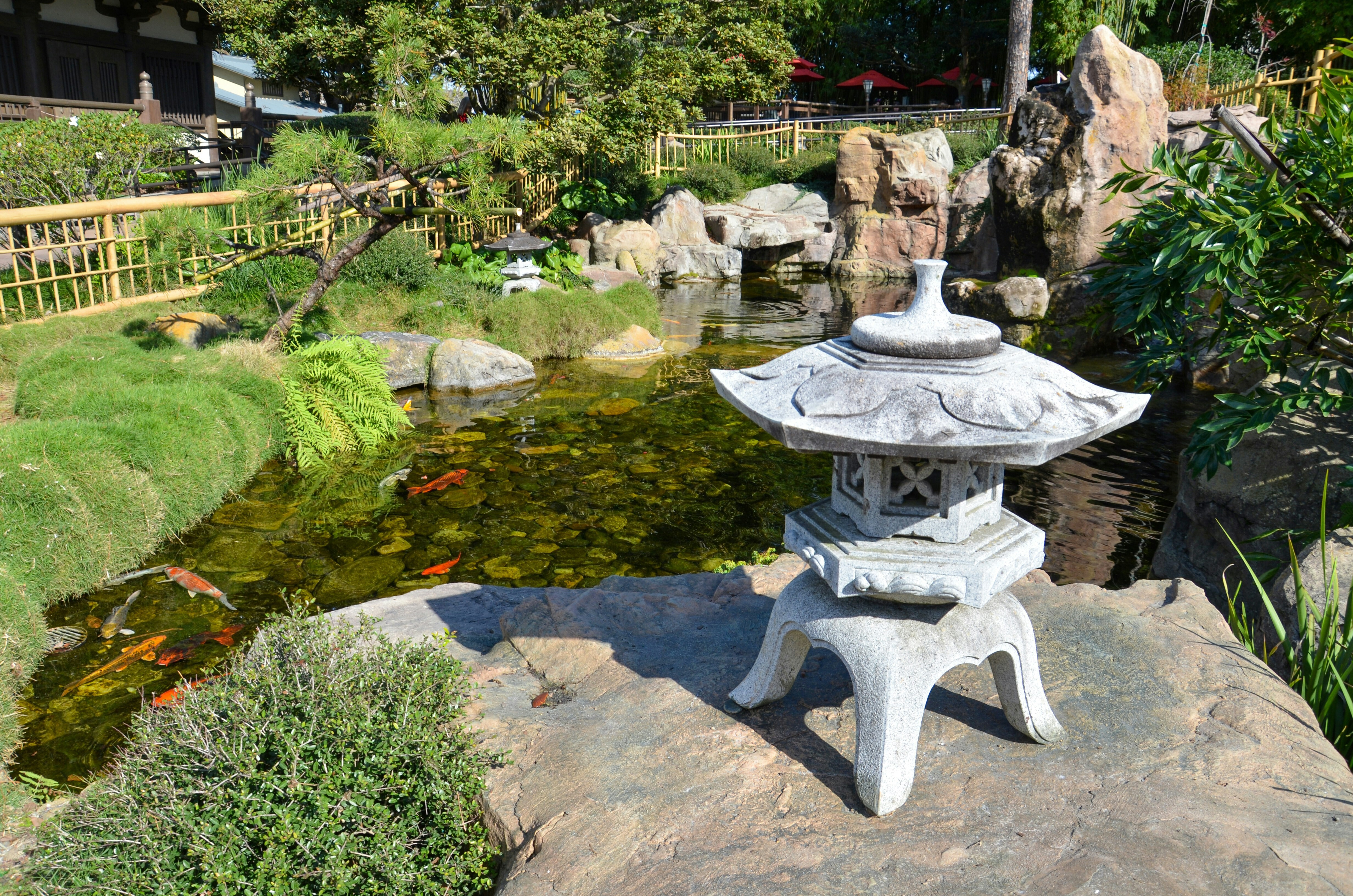 Commencez dès aujourd'hui à créer l'étang de vos rêves ! Nature, Outdoors, Pond, Water, Garden