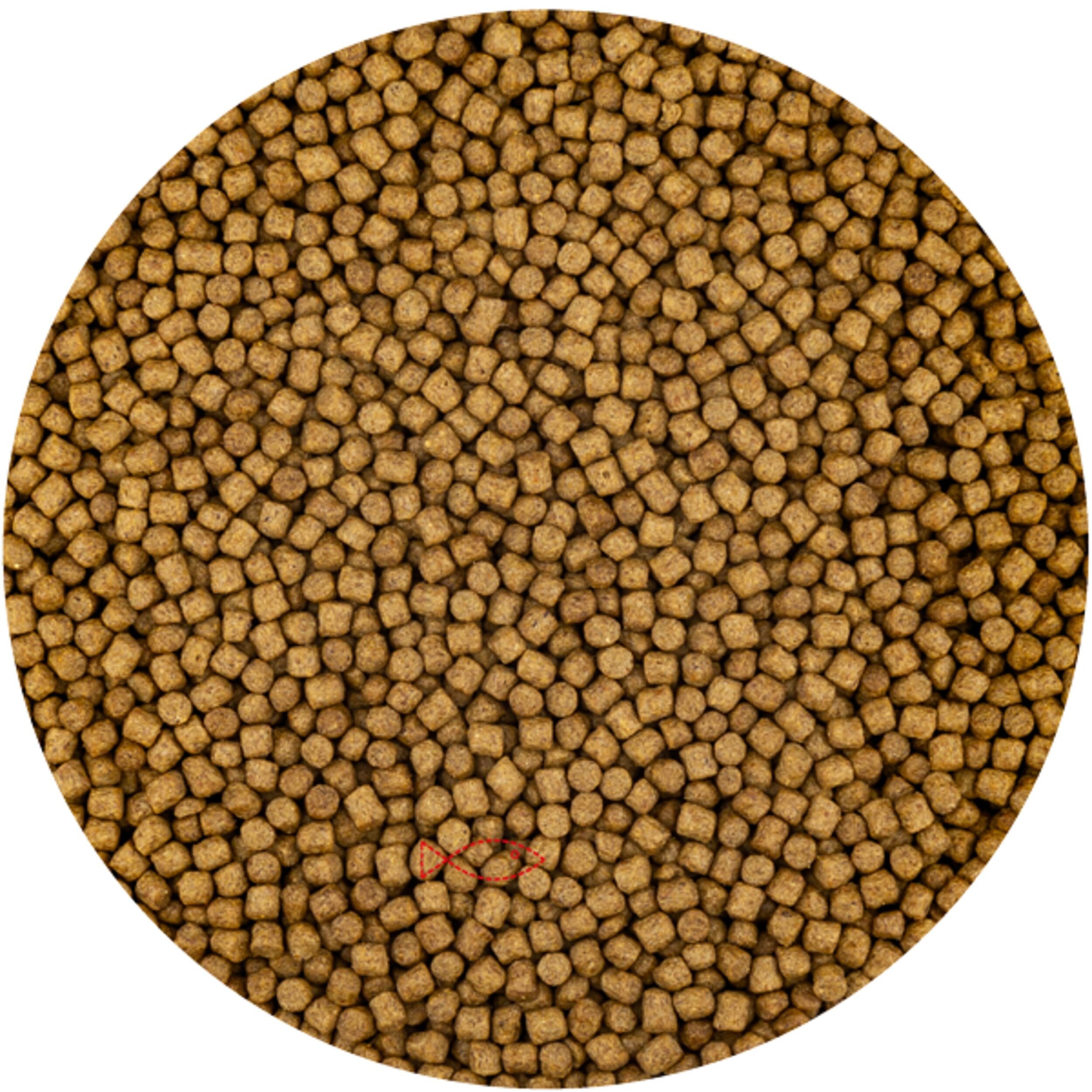 Wheat Germ 6mm - (2 Kilo Zak) Woondecoratie